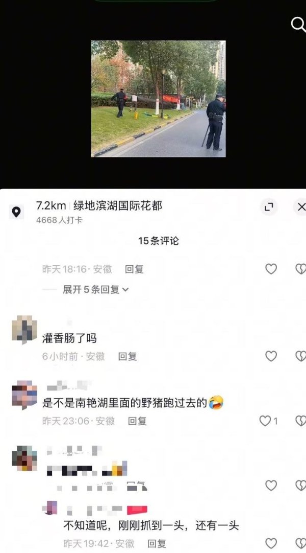 股票怎样配资 两只野猪现身合肥一小区？物业:全面排查后确认只有一只