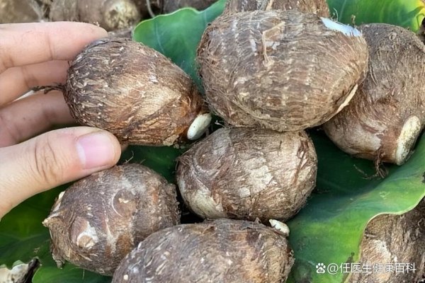 配资股配资 芋头再次成为关注对象！研究发现：常吃芋头，不用多久或有5变化